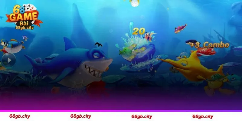 Nên lựa chọn thời điểm vàng để chơi